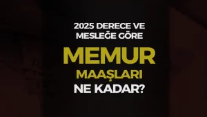 Derece ve Mesleğe Göre Memur Maaşları 2025