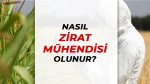 Nasıl Ziraat Mühendisi Olunur? Bölüm ve Taban KPSS Puanları