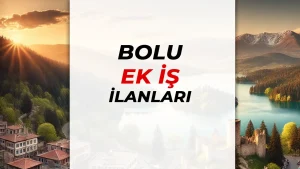 Bolu Ek İş İlanları: Evden Çalışarak Para Kazanmanın Yolları