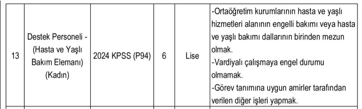 hacettepe 4