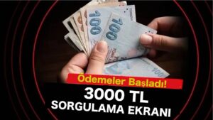 Bayram İkramiyeleri Ödenmeye Başladı! Sorgulama Ekranı