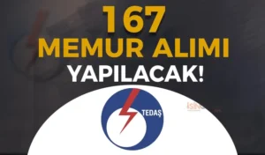 TEDAŞ 167 Memur Alımı Yapacak! Kadro İhdası Belli Oldu!