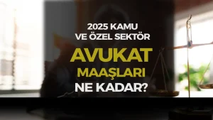 Kamu Devlet ve Özel Şirket Avukat Maaşları 2025