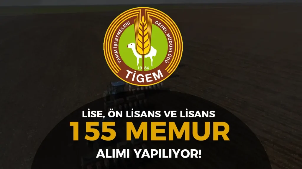 tigem memur alımı ilanı