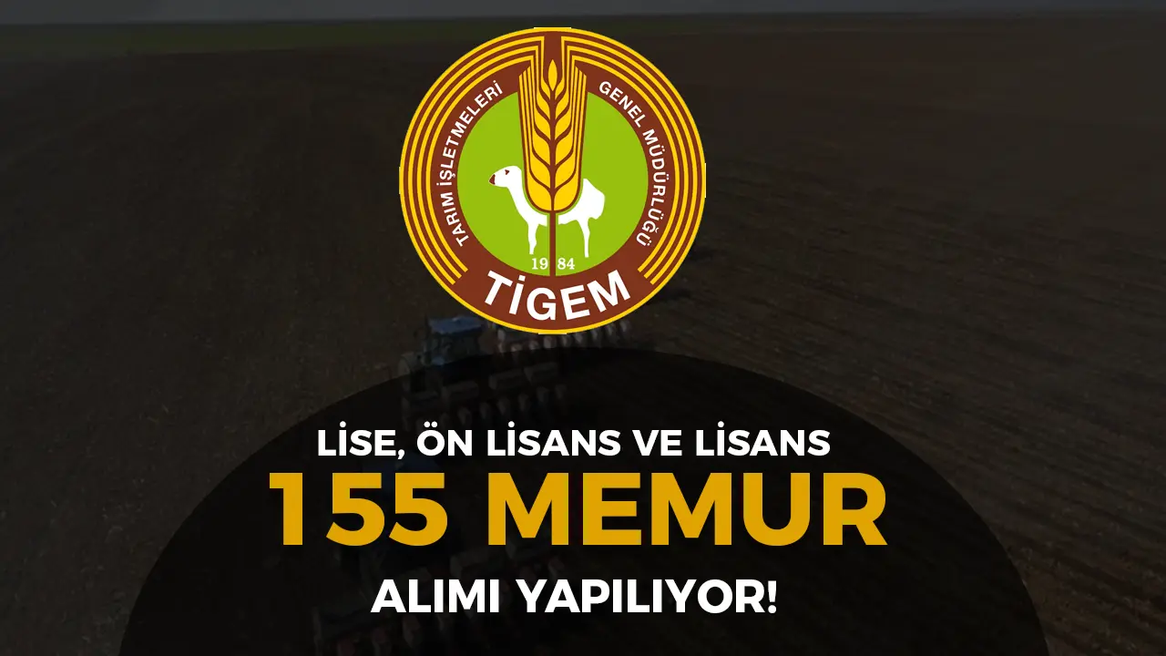 tigem memur alımı ilanı