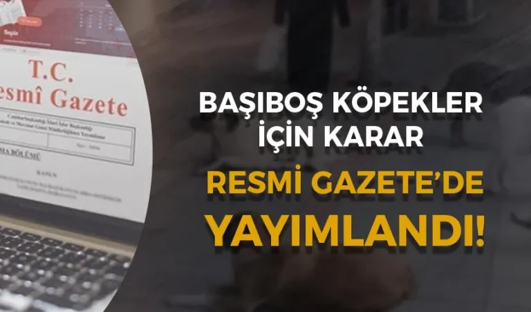 resmi gazete kopekler