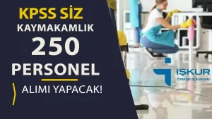 Kaymakamlık 7 İlçede 250 TYP Personel Alımı Yapacak!