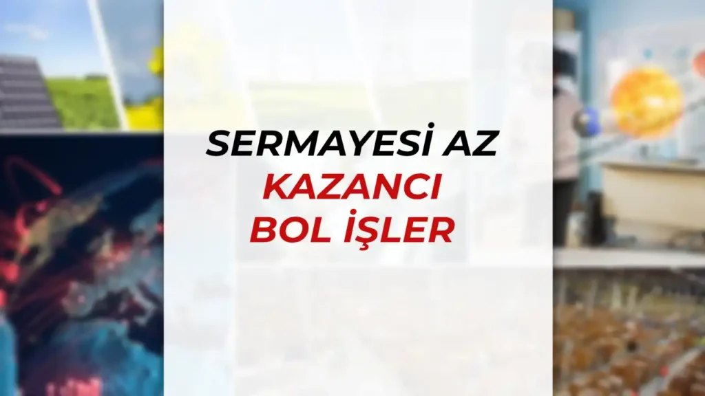 sermayesi az kazanci bol isler