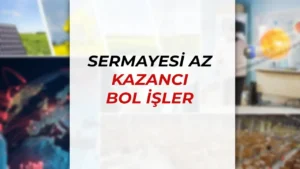 Sermayesi Az Kazancı Bol İş Fikirleri