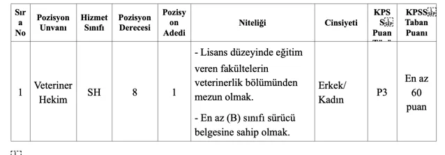 Reyhanlı Belediyesi Memur Alımı