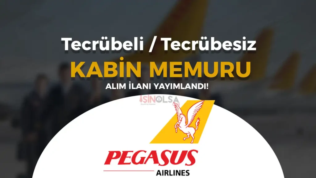 pegasus kabin memuru alimi