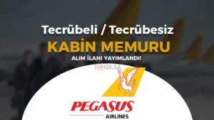 Pegasus Kabin Memuru Alımı 2024: Başvuru Şartları, Süreç