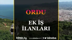 Ordu Ek İş İlanları: Ek Gelir Fırsatlarını Kaçırmayın!