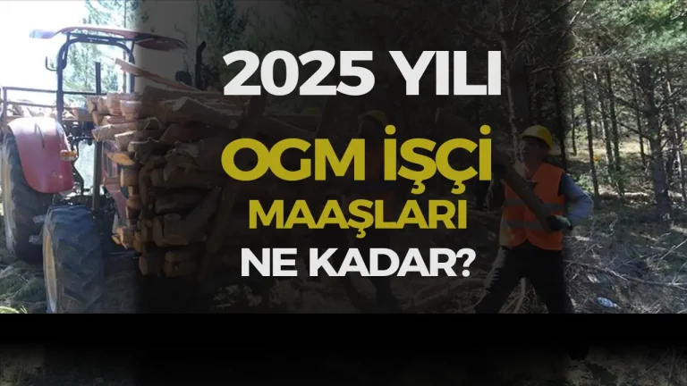 2025 Yılında OGM İşçi Maaşları Ne Kadar Oldu?