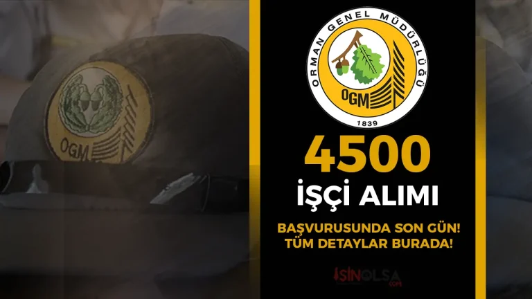 OGM 4500 Orman İşçisi, Şoför ve Operatör Alımı Sona Eriyor