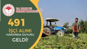 Tarım Bakanlığı 741 Tarım İşçisi Alımı Hakkında Duyuru Geldi!